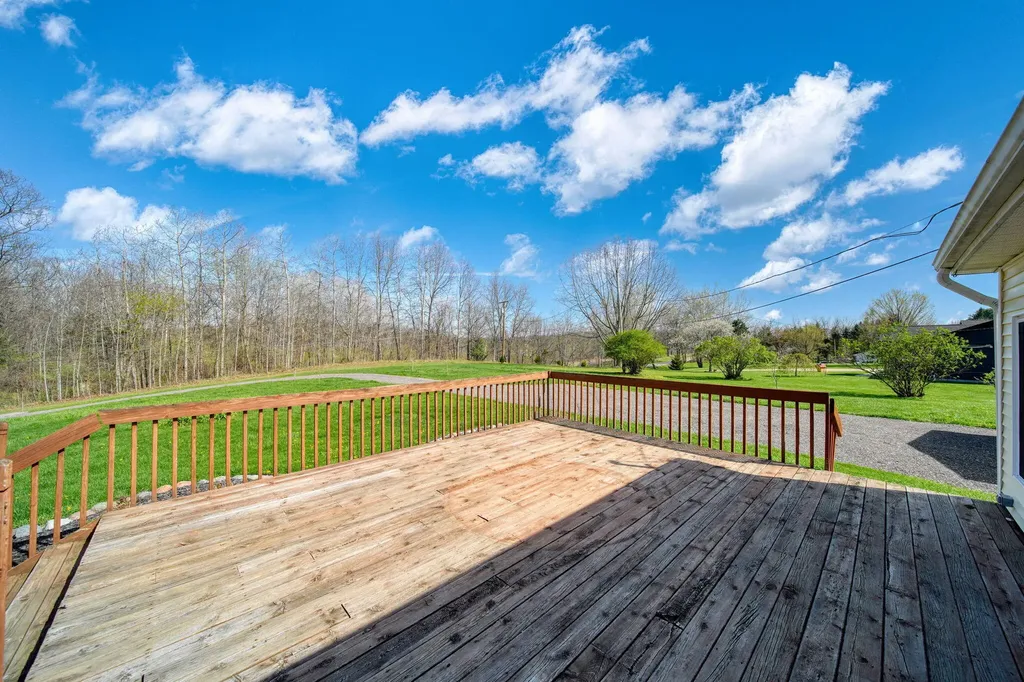10430 Coon Hill Road Henrietta Township MI 49259