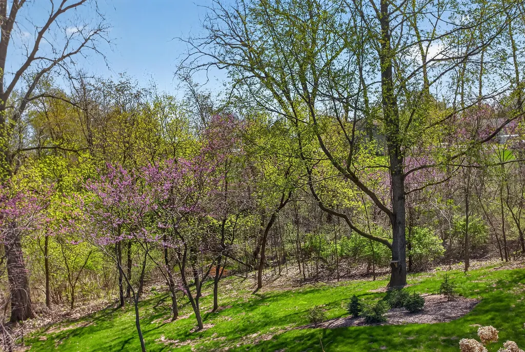 14840 Killorglin Lane Somerset Township MI 49233