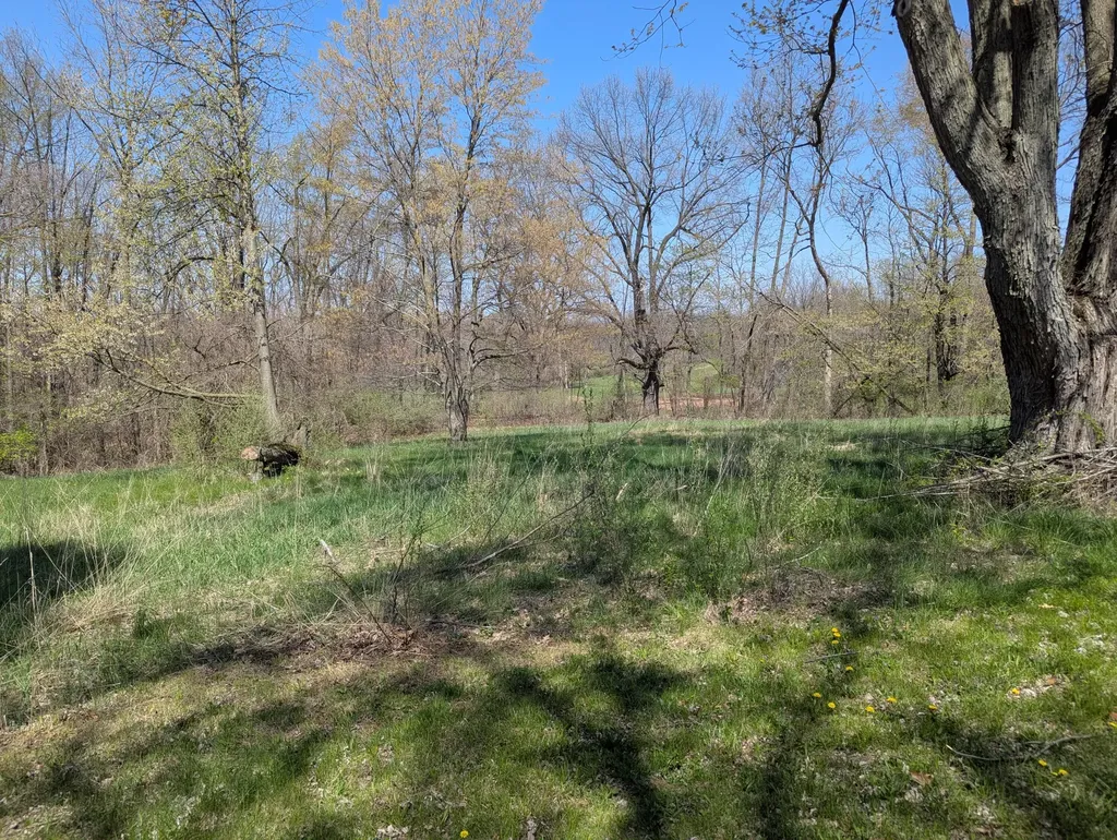 13421 Woerner Road Rollin Township MI 49253