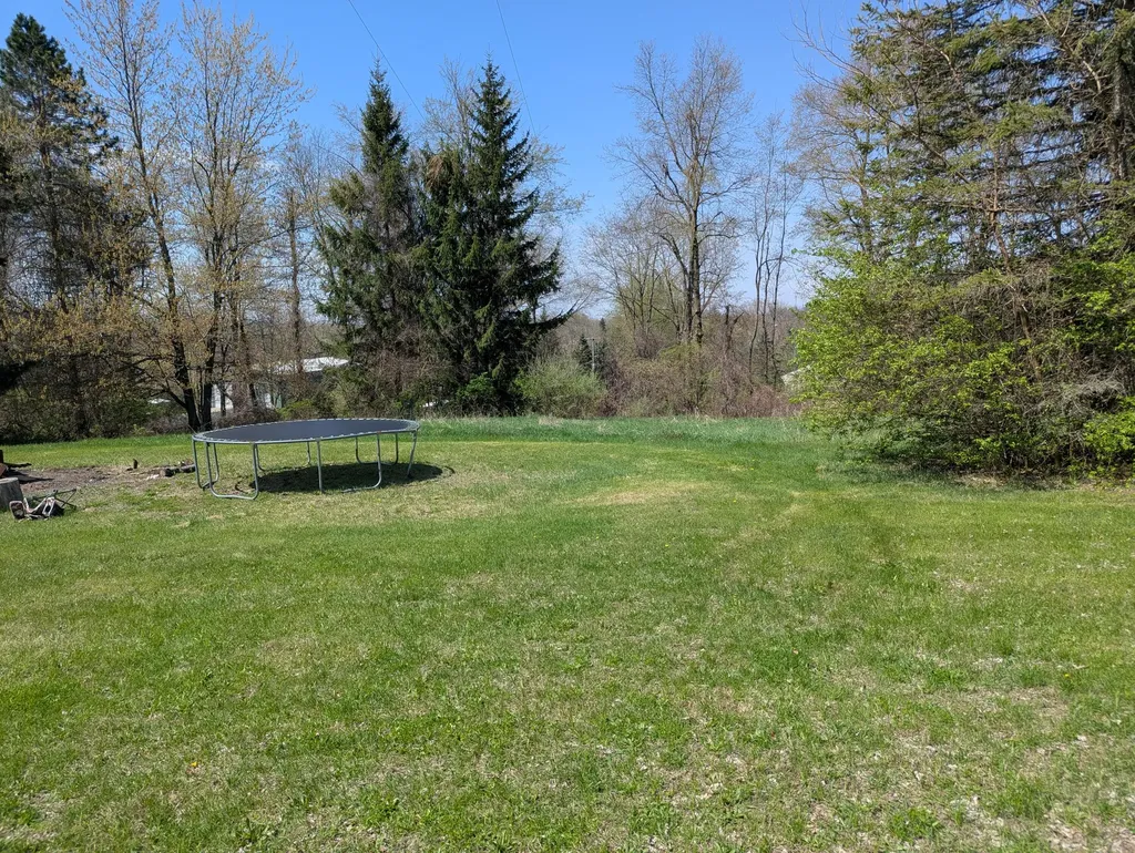 13421 Woerner Road Rollin Township MI 49253