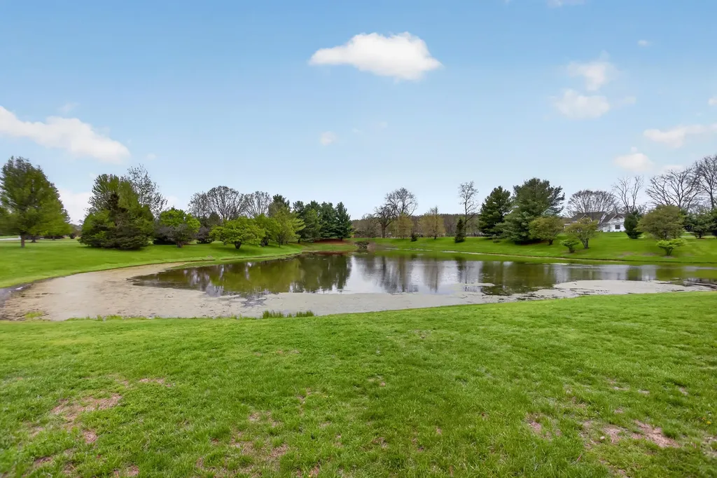 4530 Eagle Drive Summit Township MI 49201