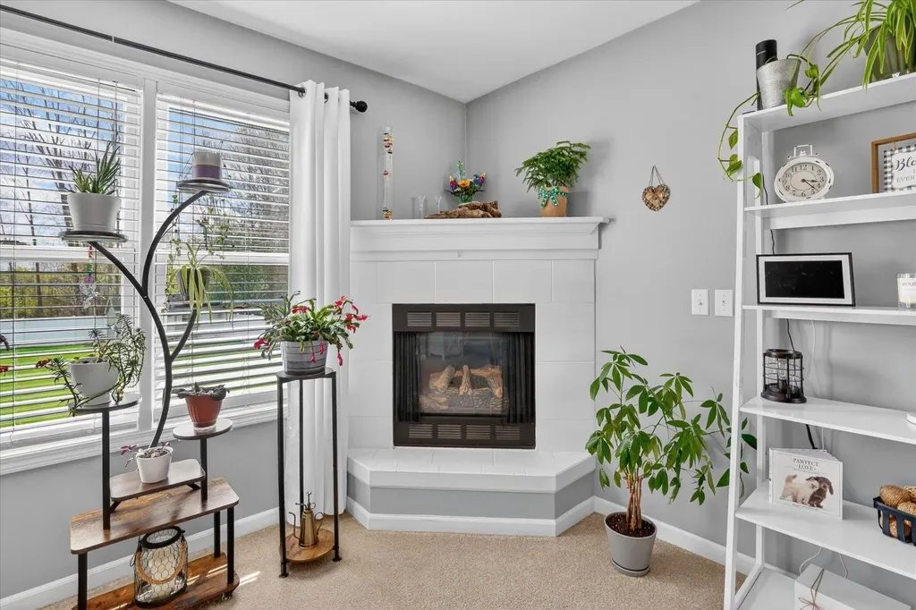 3849 Thorncrest Drive Summit Township MI 49203
