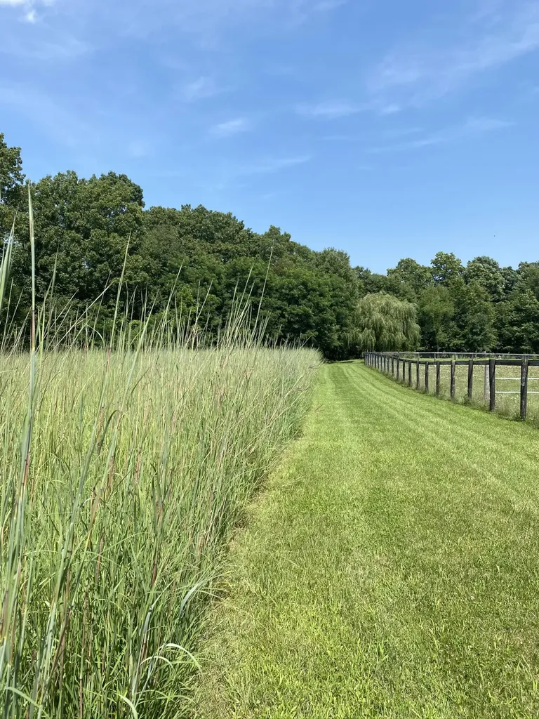 19501 B Drive S Eckford Township MI 49068