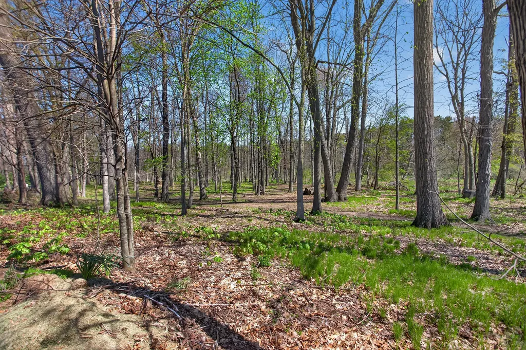 19501 B Drive S Eckford Township MI 49068