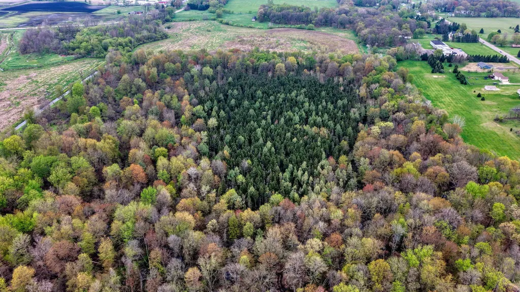 5576 S M 52 Stockbridge Township MI 49285