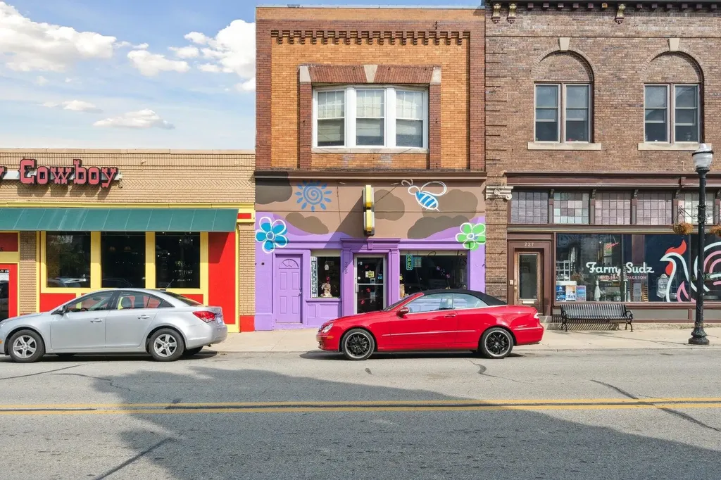 223 S Mechanic Street Jackson City MI 49201