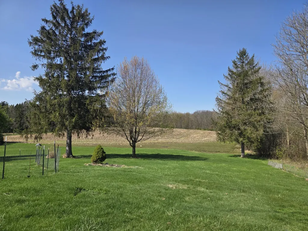 2770 N Dearing Road Parma Township MI 49269