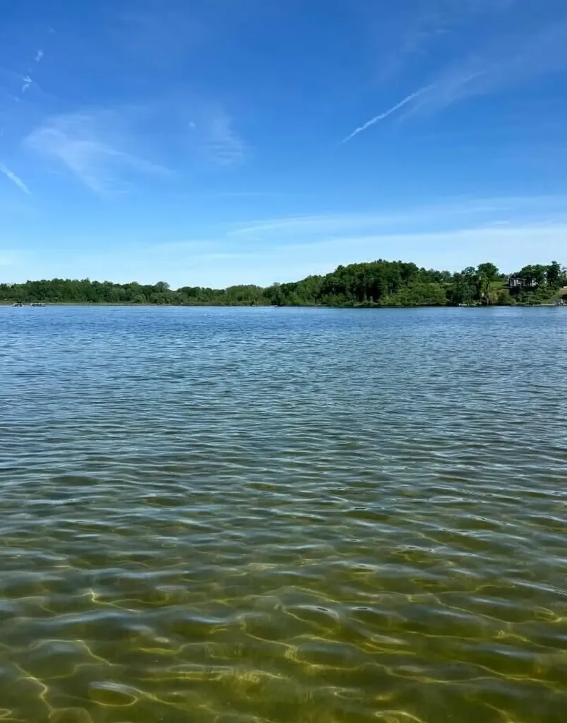 2550 Dardy Drive Norvell Township MI 49230