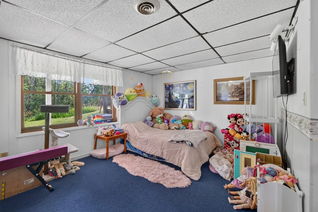 26999 Division Drive Sheridan Township MI 49224