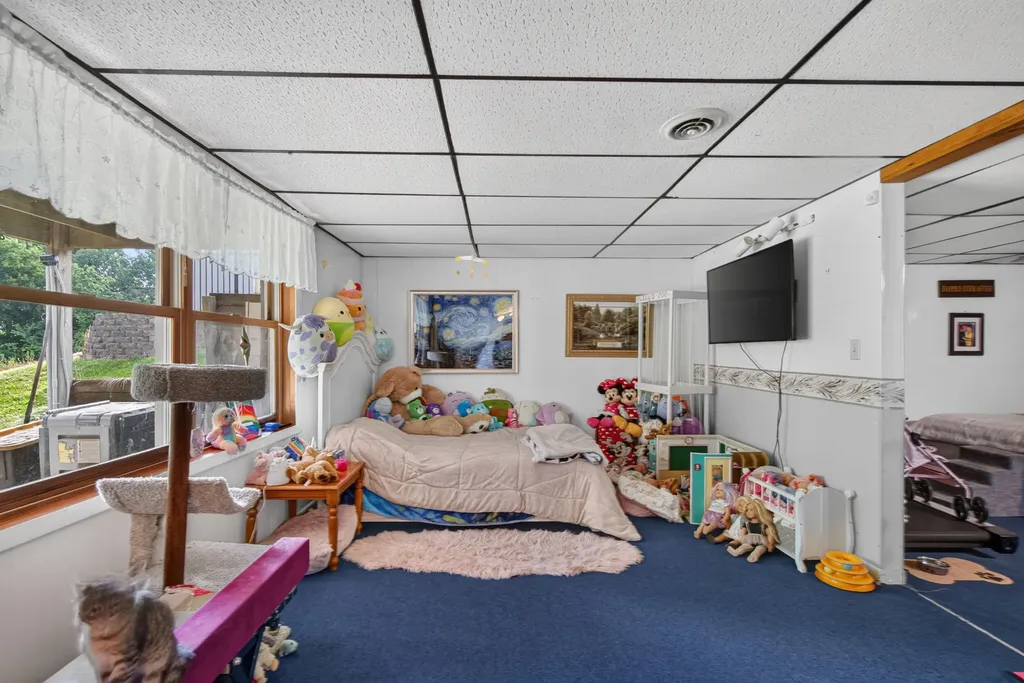 26999 Division Drive Sheridan Township MI 49224