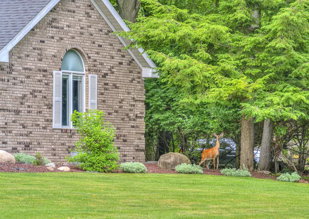3664 W Primilia Lane Summit Township MI 49201