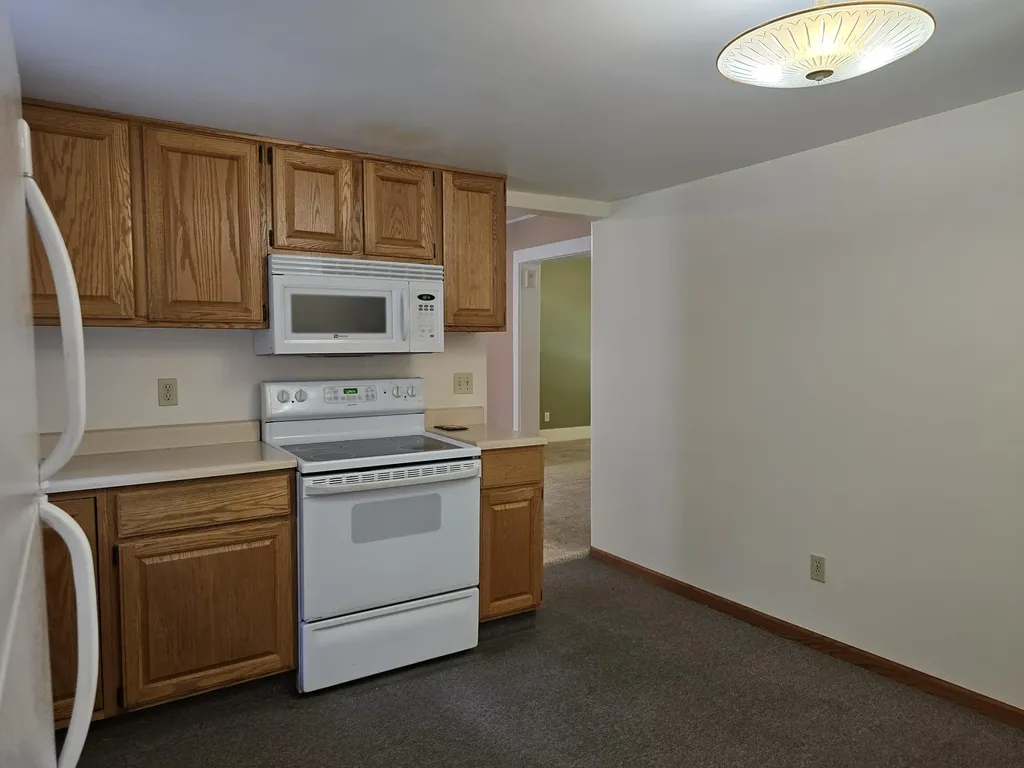 315 E Center Street Concord Village MI 49237