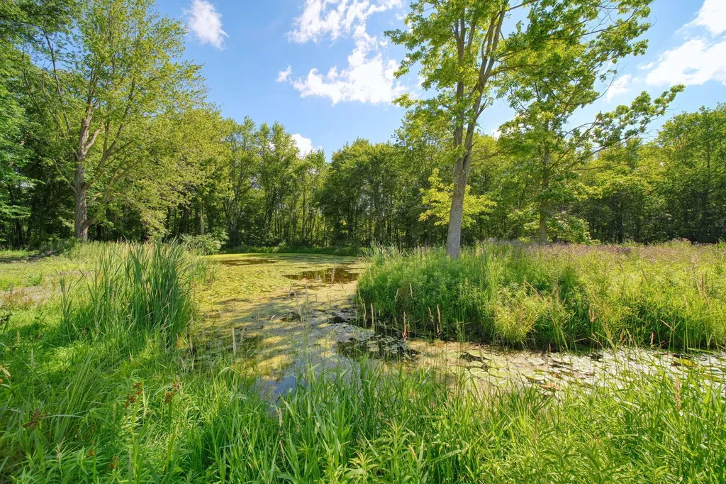 5995 N Sandstone Road Sandstone Township MI 49201