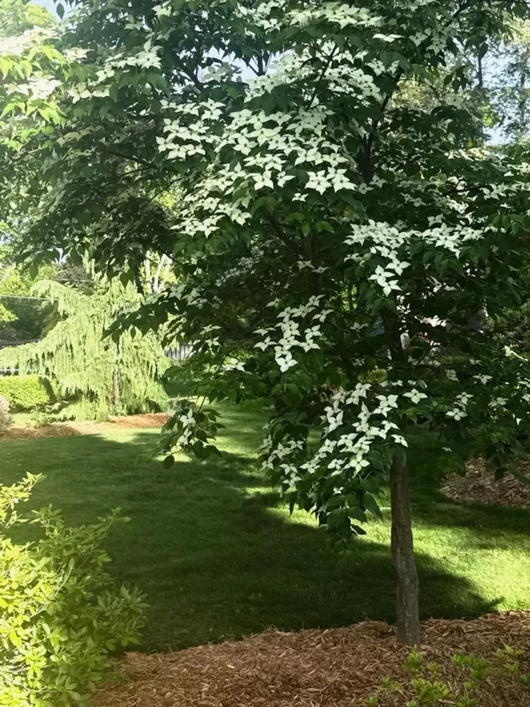 3600 Hendee Road Blackman Charter Township MI 49201