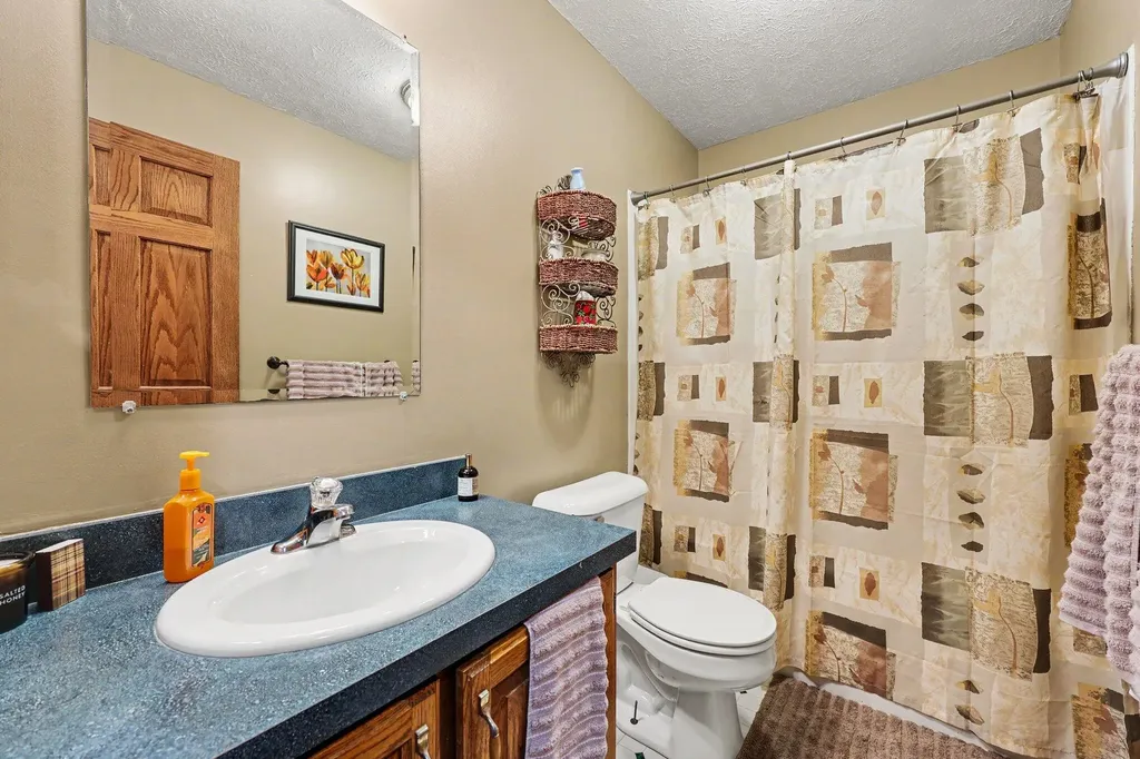 11356 S Miller Highway Woodstock Township MI 49230