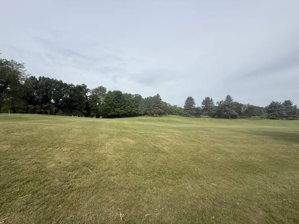 10464 Hankerd Henrietta Township MI 49272