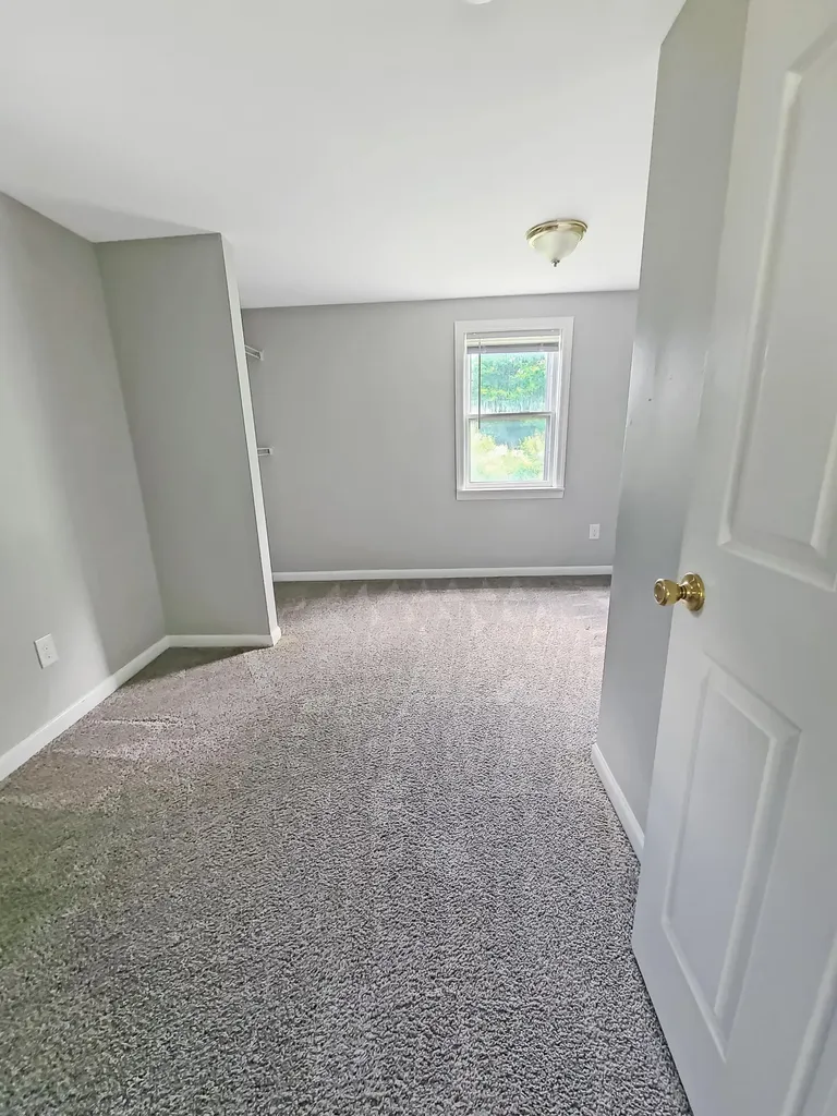 114 W Sprague Street Homer Village MI 49245