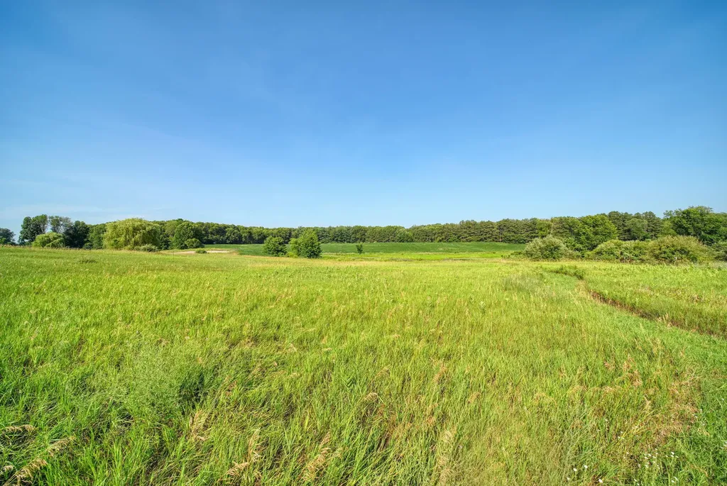 11329 Rosemary Lane Waterloo Township MI 49259