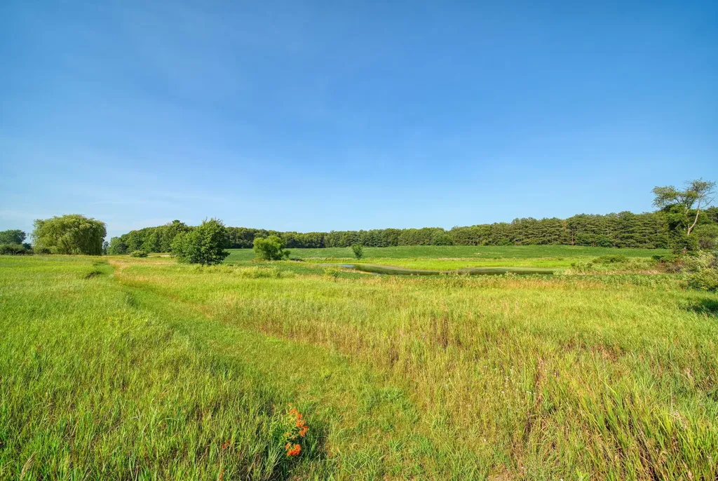 11329 Rosemary Lane Waterloo Township MI 49259