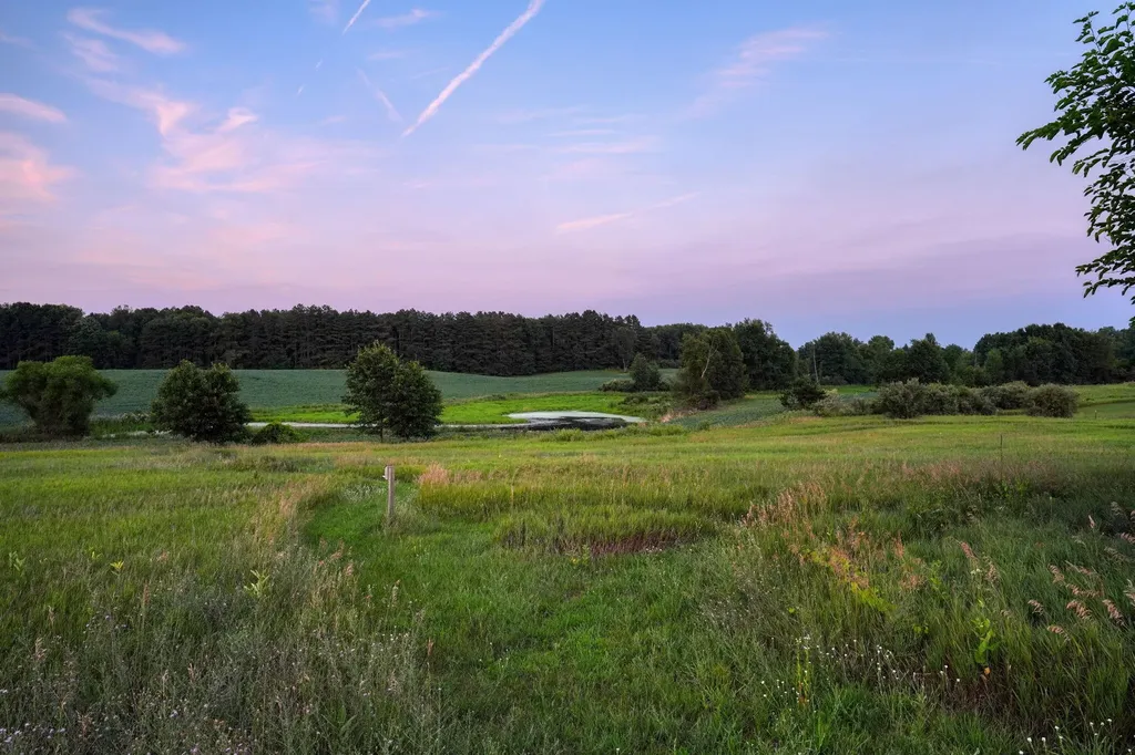 11329 Rosemary Lane Waterloo Township MI 49259