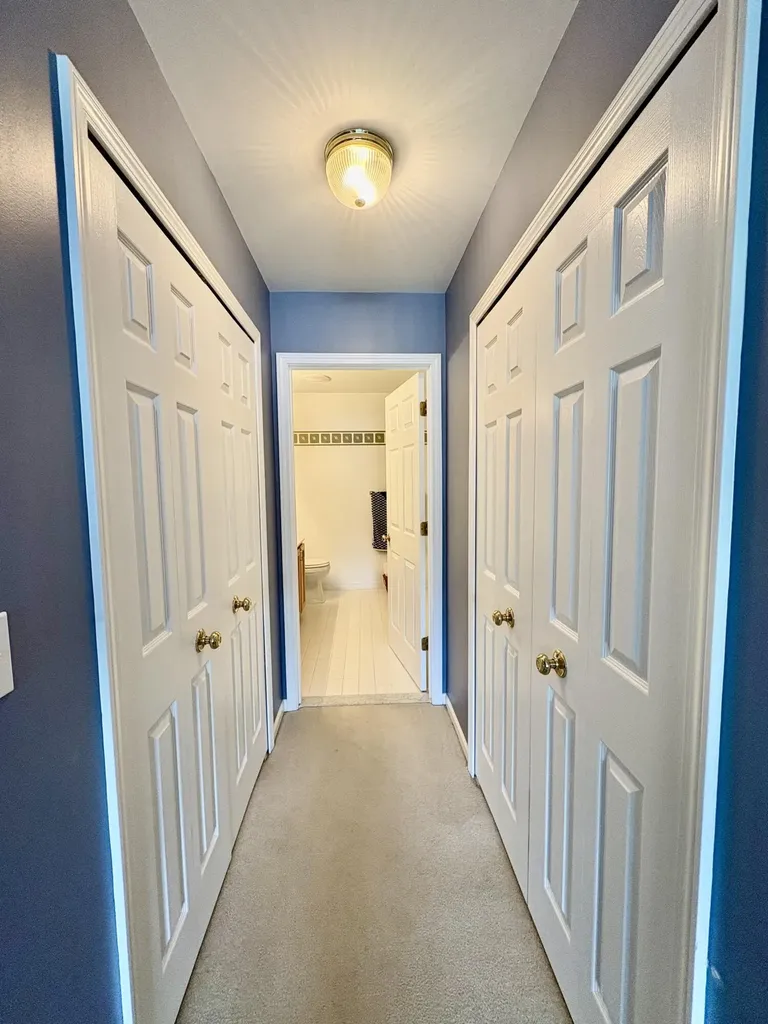 874 Chamberlain Court Summit Township MI 49203