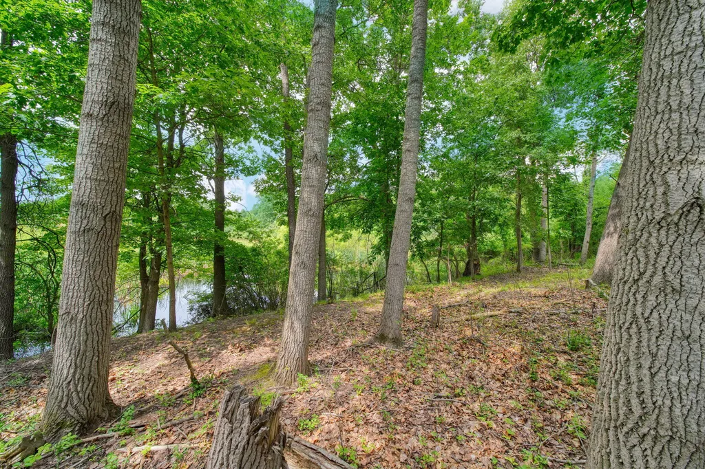 3930 Hoyer Road Napoleon Township MI 49201