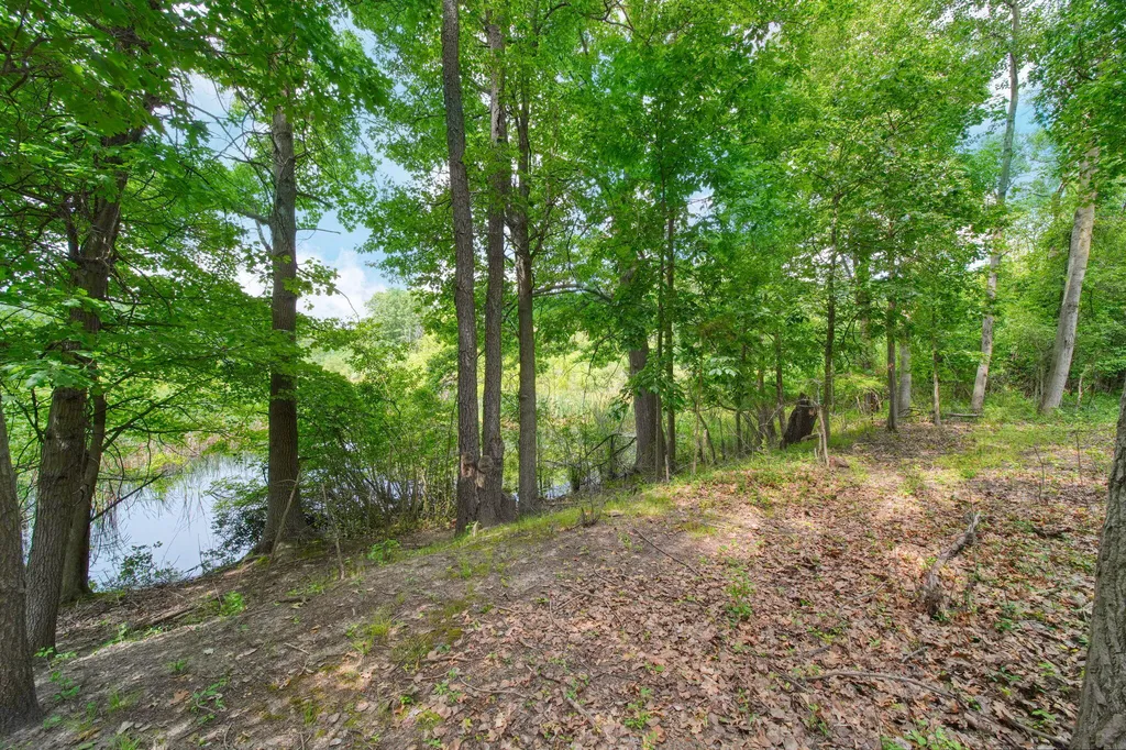 3930 Hoyer Road Napoleon Township MI 49201