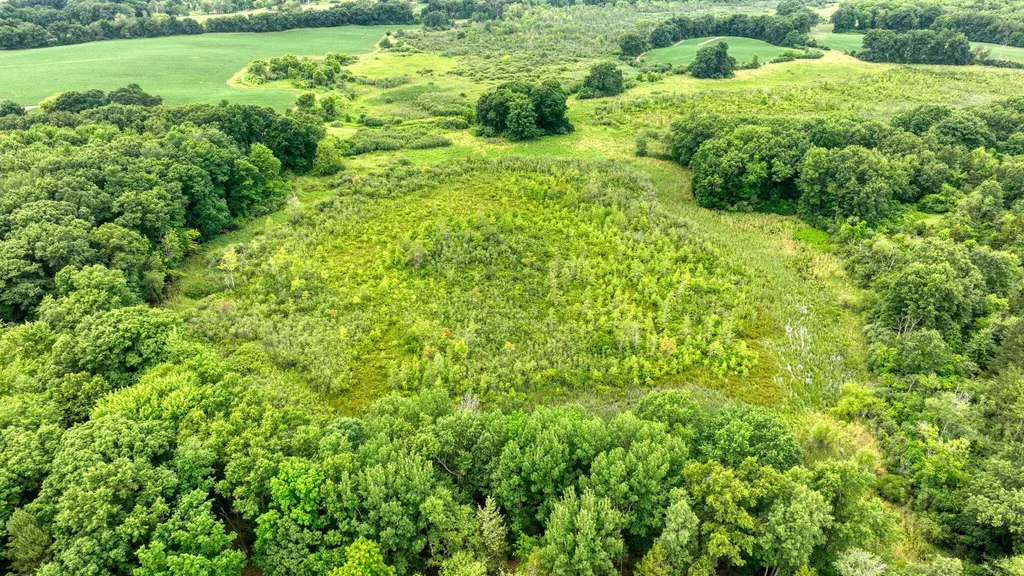 3930 Hoyer Road Napoleon Township MI 49201