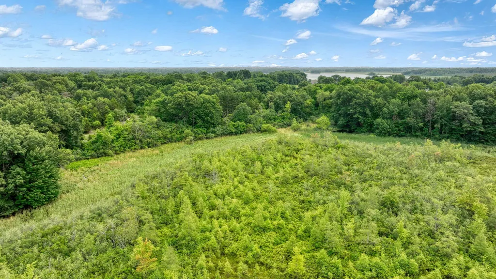 3930 Hoyer Road Napoleon Township MI 49201