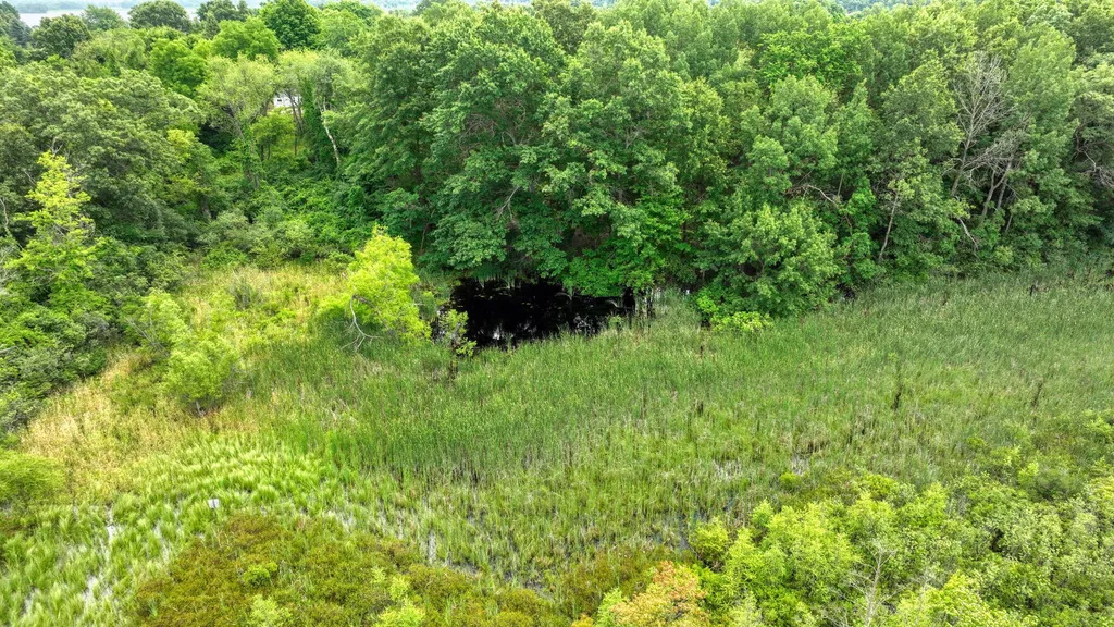 3930 Hoyer Road Napoleon Township MI 49201