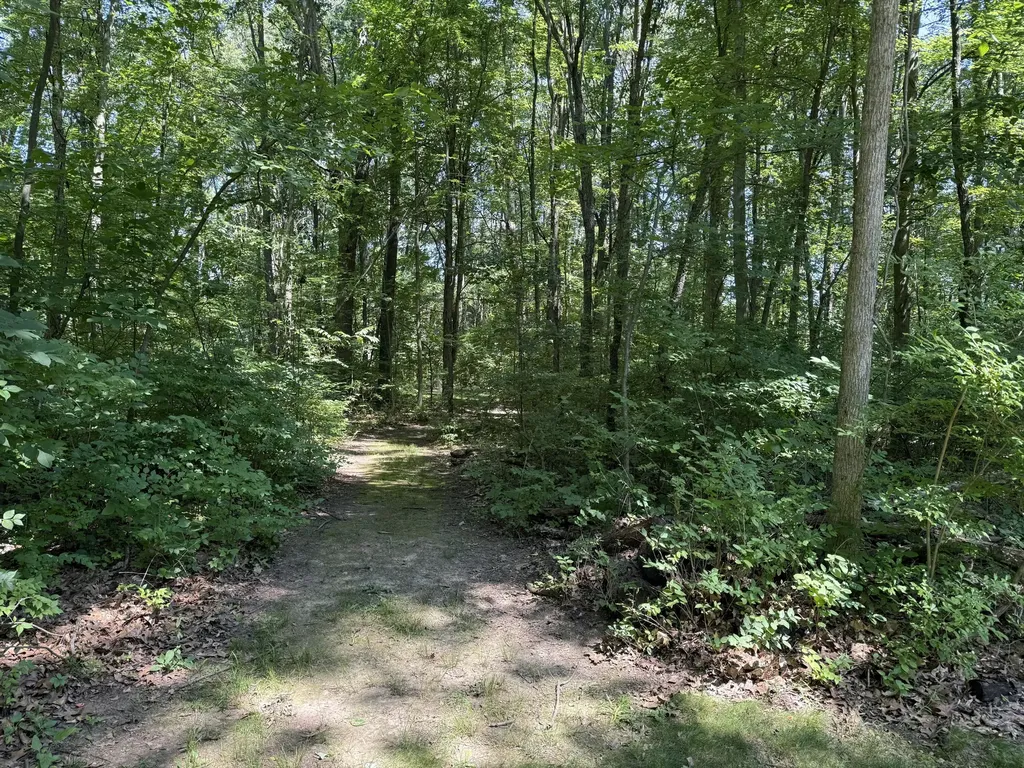 4909 Slayton Road Spring Arbor Township MI 49201