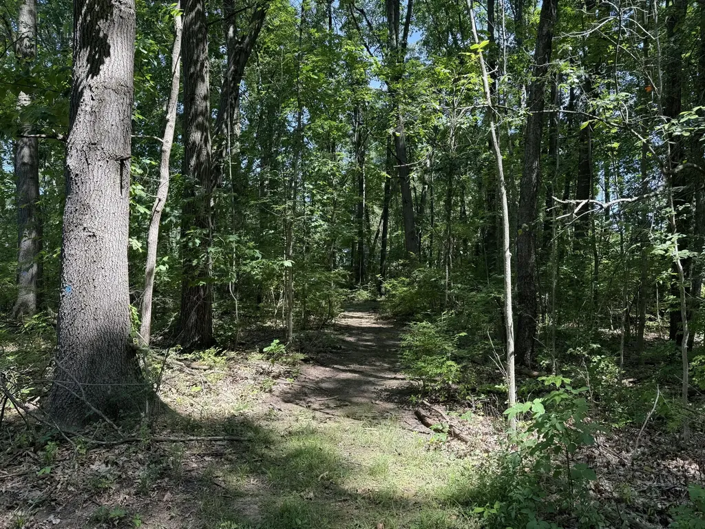 4909 Slayton Road Spring Arbor Township MI 49201