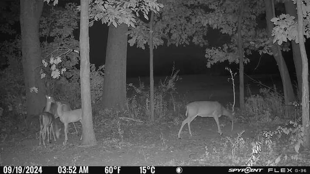 6823 Folks Road Hanover Township MI 49246