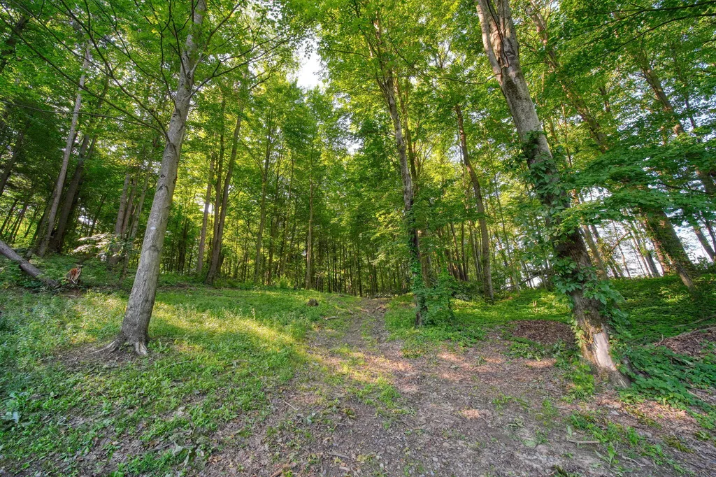 6823 Folks Road Hanover Township MI 49246