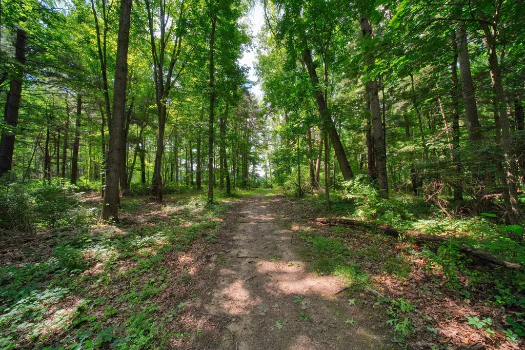 6823 Folks Road Hanover Township MI 49246