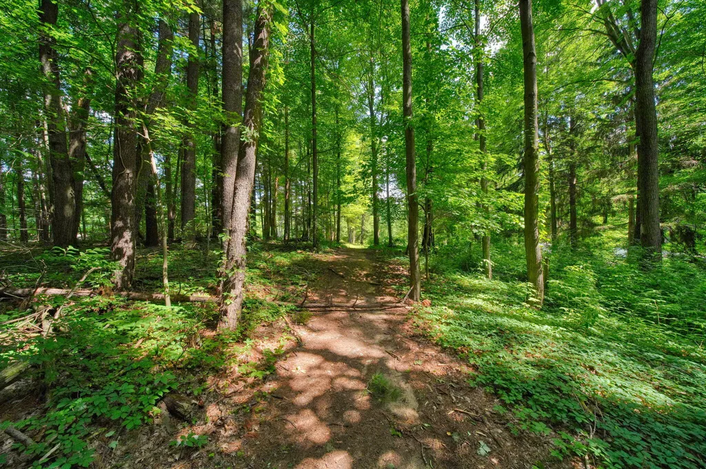 6823 Folks Road Hanover Township MI 49246