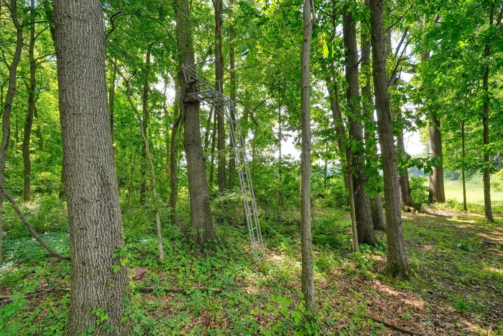 6823 Folks Road Hanover Township MI 49246