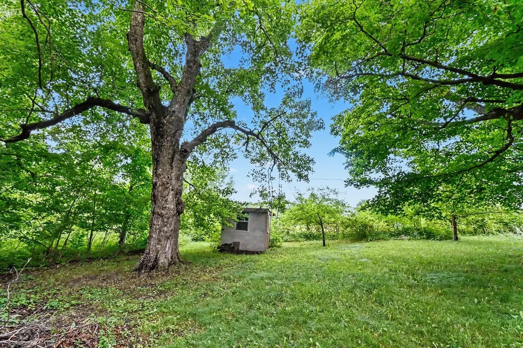 11908 N Meridian Road N Henrietta Township MI 49272
