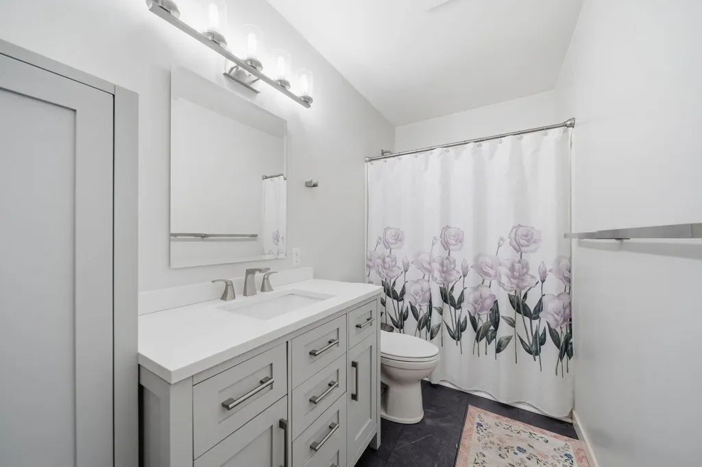 1511 Strathmoor Lane Summit Township MI 49203