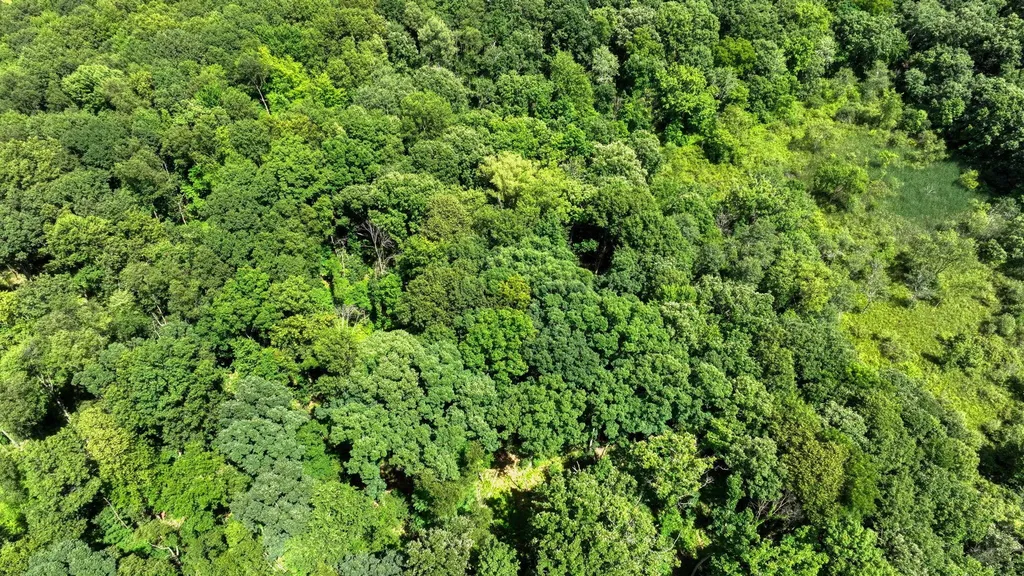 2500 Reynolds Road Spring Arbor Township MI 49201