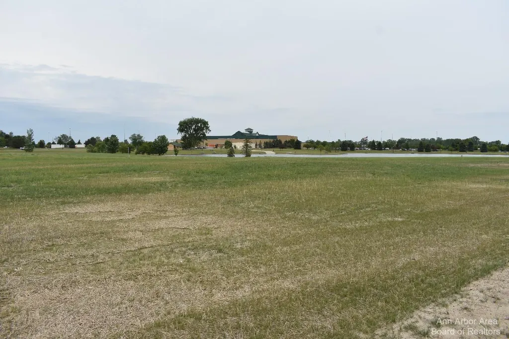 16488 Tecumseh Dundee Village MI 48131