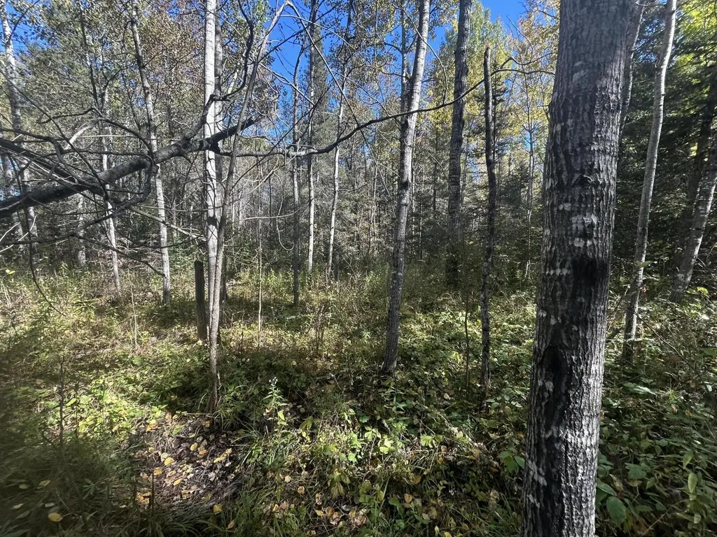 9964 E M 48 Raber Township MI 49736