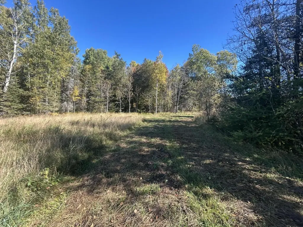 9964 E M 48 Raber Township MI 49736
