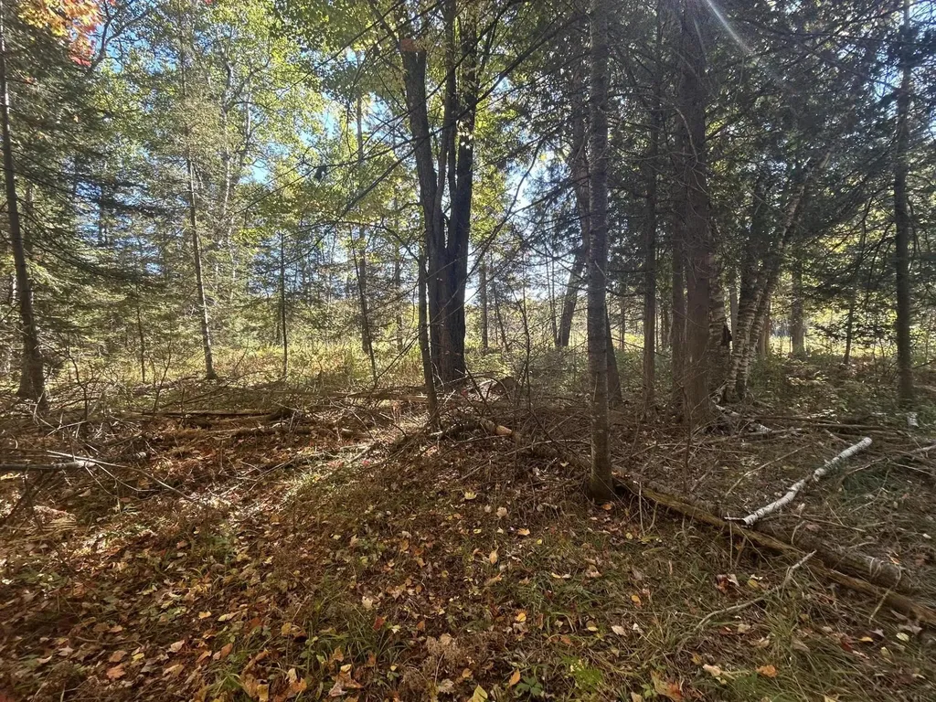 9964 E M 48 Raber Township MI 49736