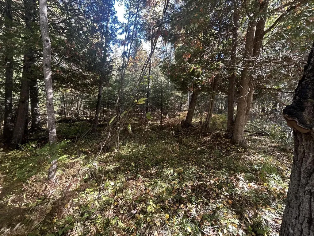 9964 E M 48 Raber Township MI 49736