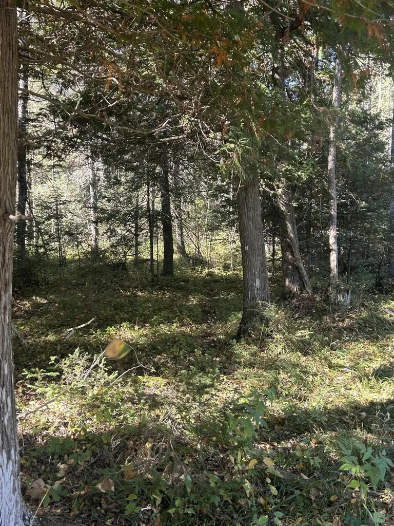 9964 E M 48 Raber Township MI 49736