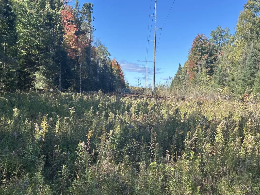 9964 E M 48 Raber Township MI 49736