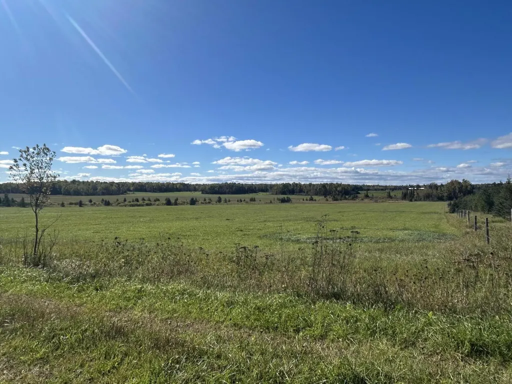 9964 E M 48 Raber Township MI 49736