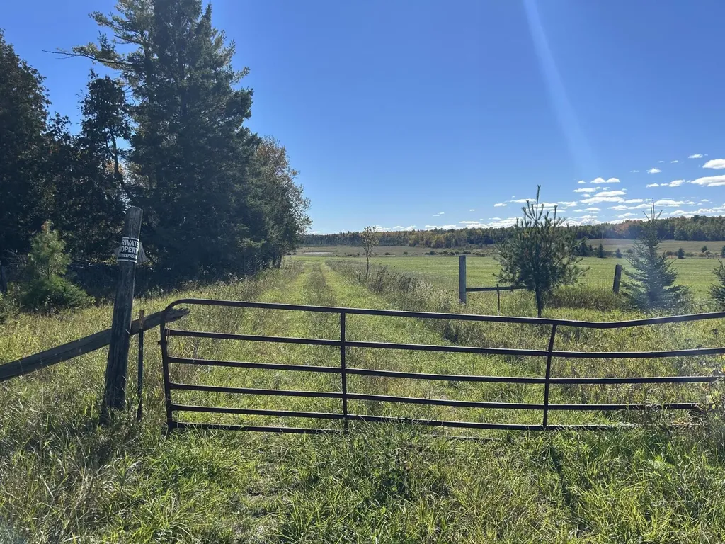 9964 E M 48 Raber Township MI 49736