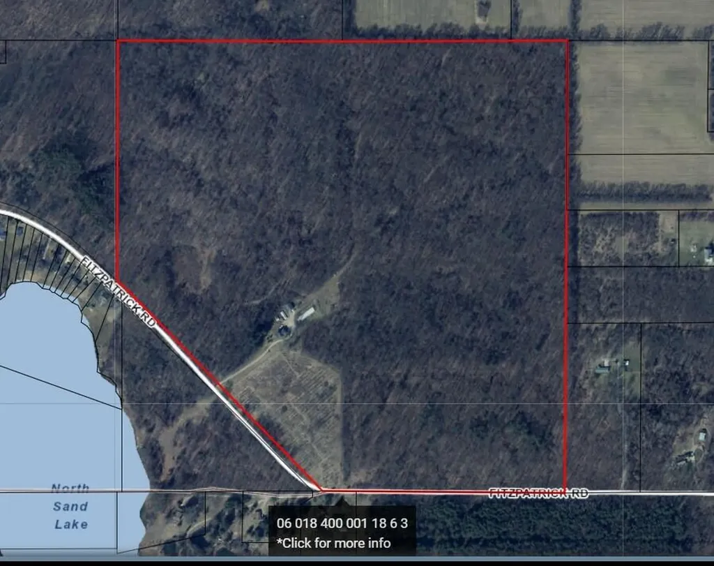 4680 Fitzpatrick Road Fayette Township MI 49242